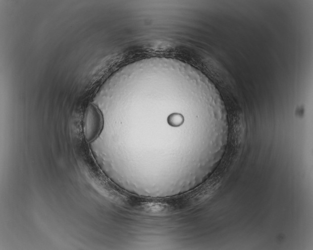 X0000116460654200912231402