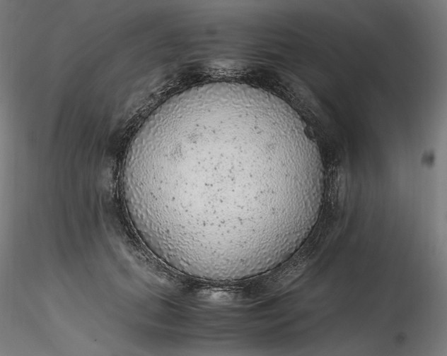 X0000116460655200912231402