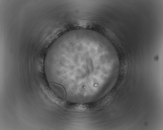 X0000116460656200912231402
