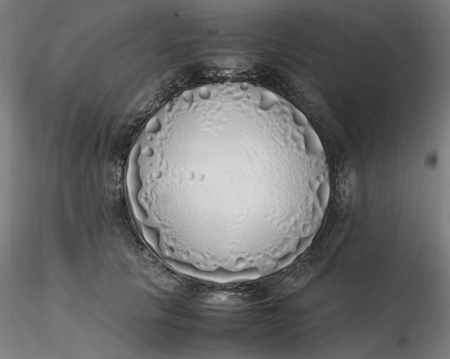 X0000116460657200912231402