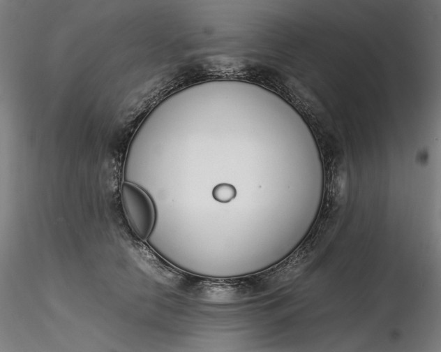 X0000116460658200912231402