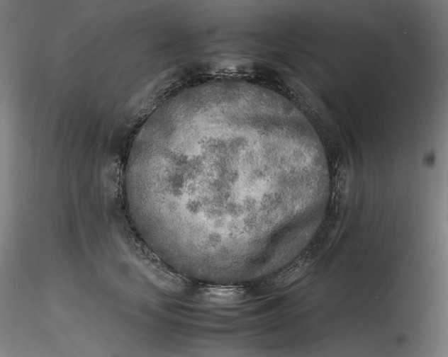 X0000116460659200912231402