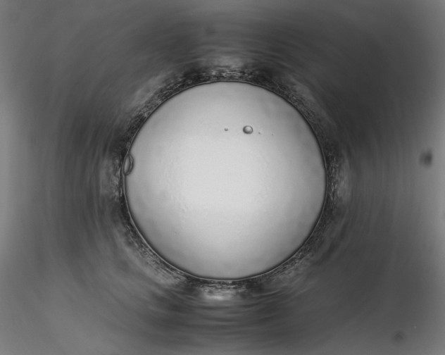 X0000116460661200912231402