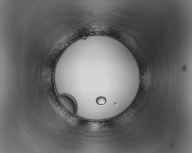 X0000116460662200912231402