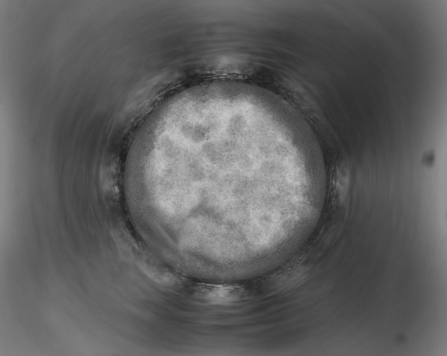 X0000116460663200912231402