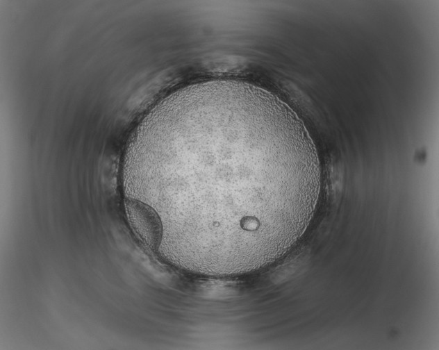 X0000116460664200912231402