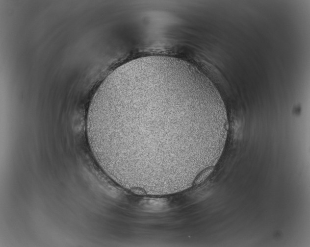 X0000116460665200912231402