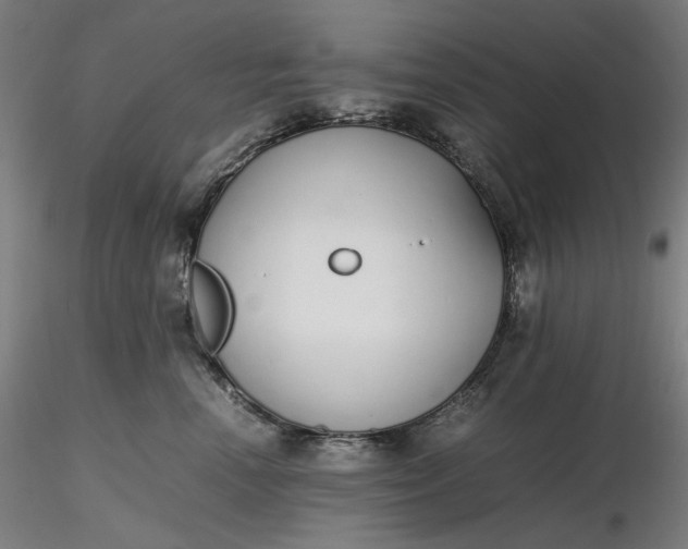 X0000116460666200912231402