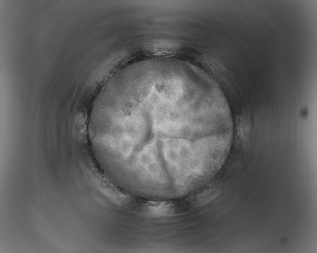 X0000116460667200912231402