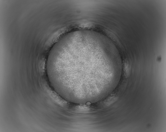 X0000116460668200912231402