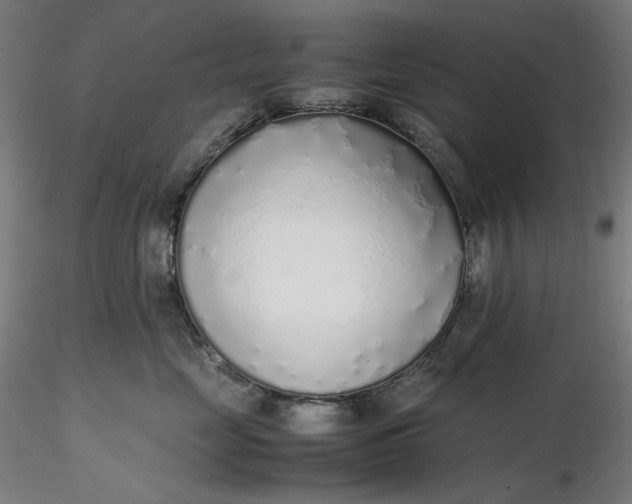 X0000116460669200912231402