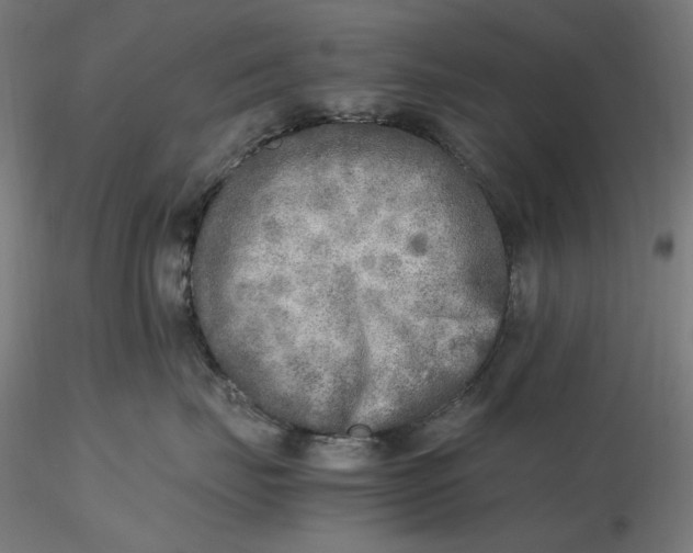 X0000116460671200912231402