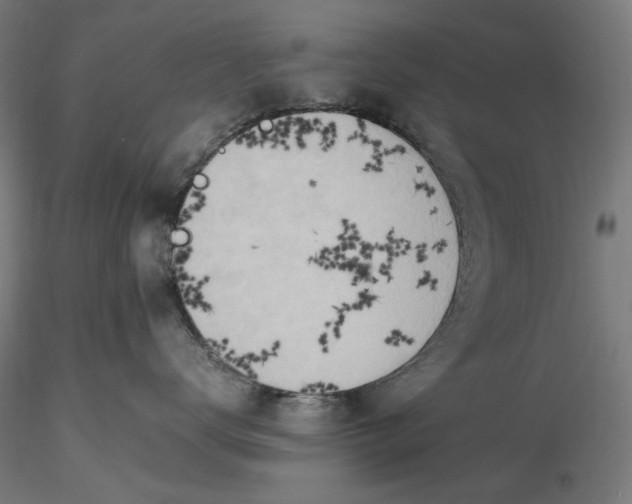 X0000116460672200912231402