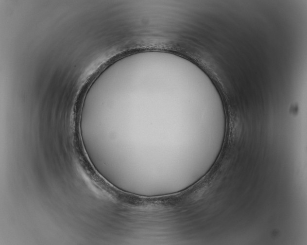 X0000116460674200912231401