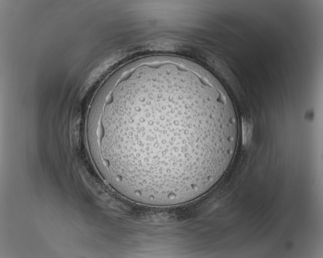 X0000116460675200912231401