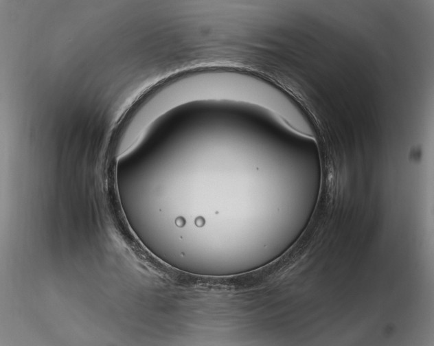 X0000116460676200912231401