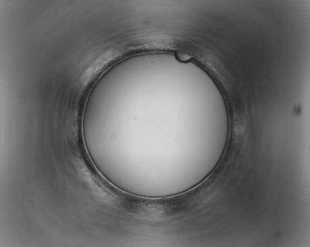 X0000116460677200912231401