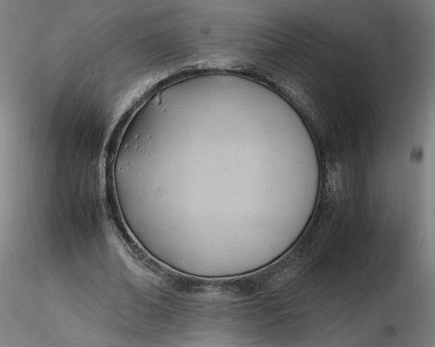 X0000116460678200912231401