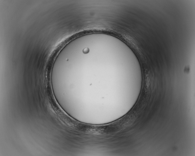 X0000116460680200912231401
