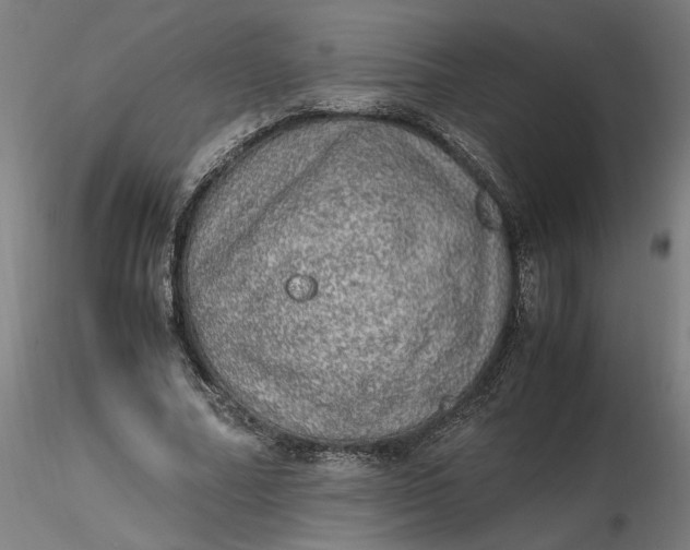 X0000116460682200912231401