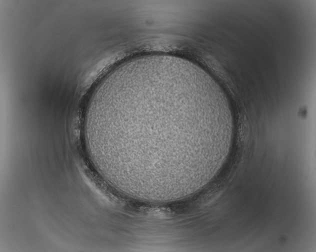 X0000116460683200912231401