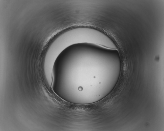 X0000116460684200912231401