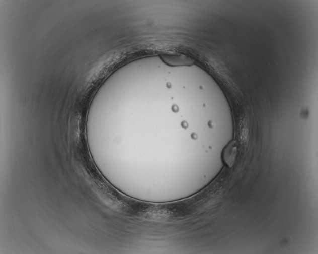 X0000116460685200912231401