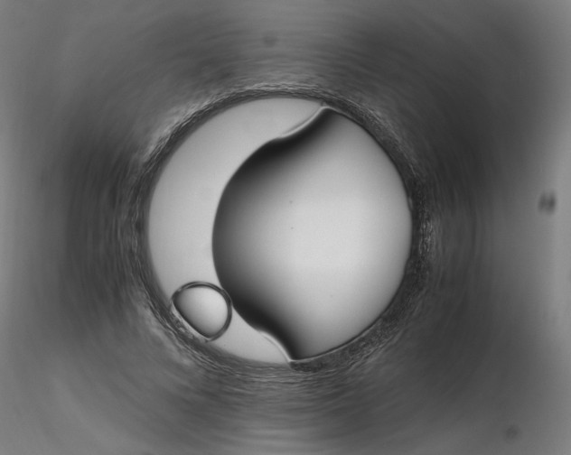 X0000116460688200912231401