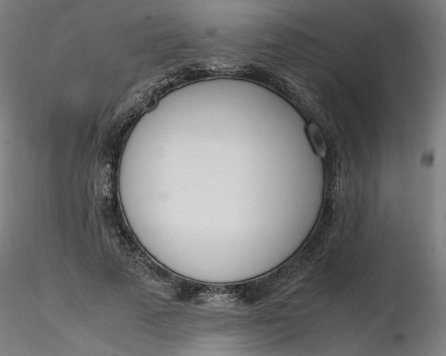 X0000116460689200912231401