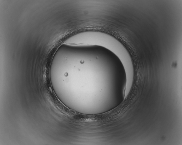 X0000116460692200912231401