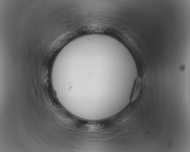 X0000116460693200912231401