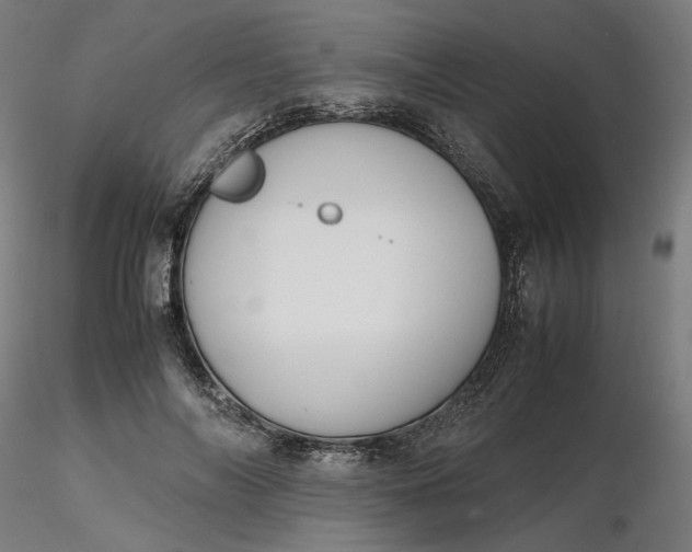 X0000116460694200912231401