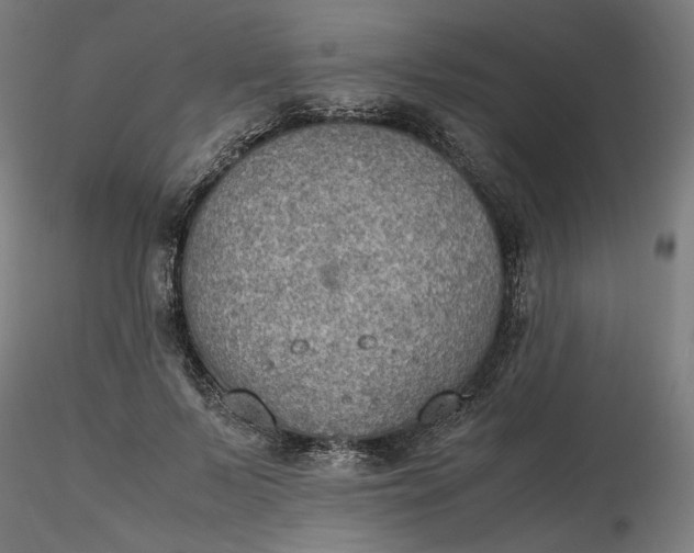 X0000116460695200912231401