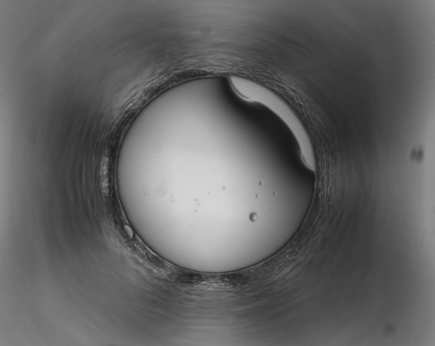 X0000116460696200912231401