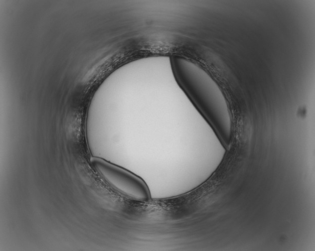 X0000116460697200912231401