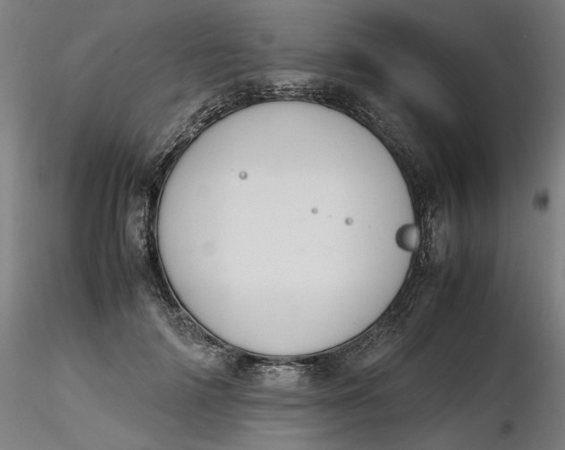 X0000116460698200912231401