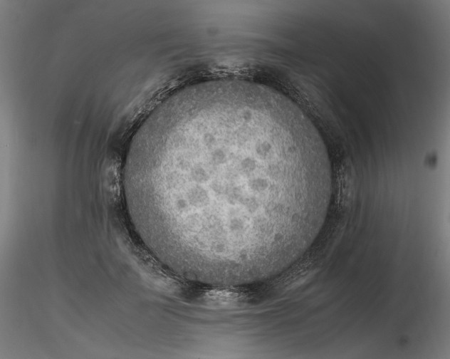 X0000116460699200912231401