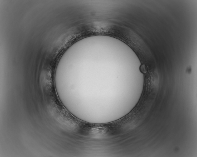 X0000116460700200912231401