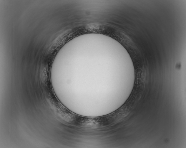X0000116460702200912231401