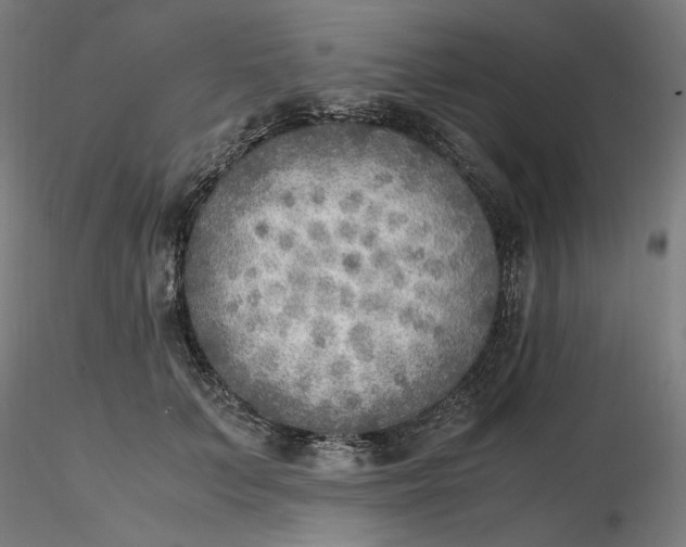 X0000116460703200912231401