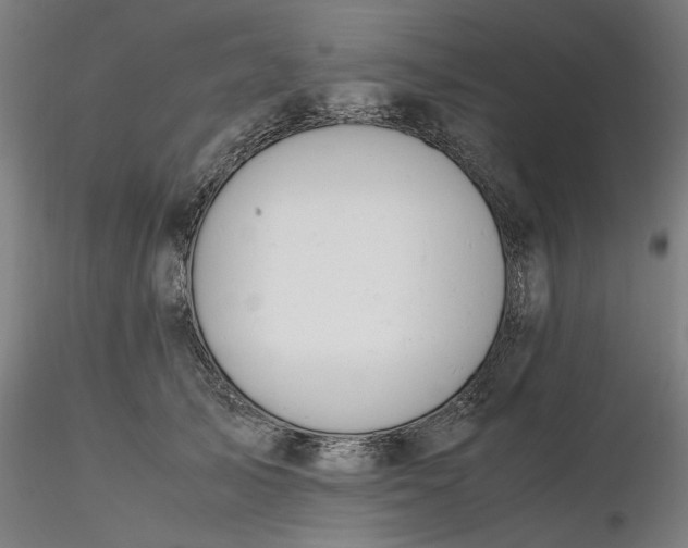 X0000116460705200912231401