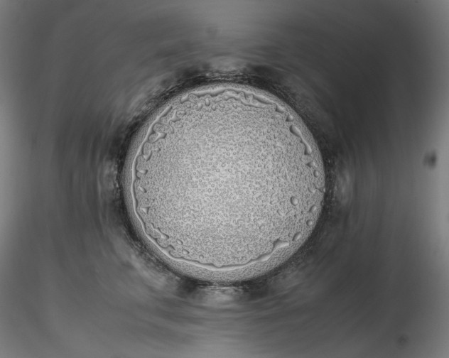 X0000116460711200912231401