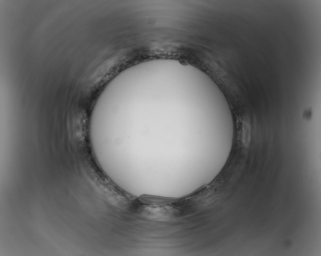 X0000116460712200912231401