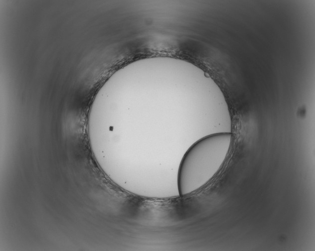 X0000116460713200912231401