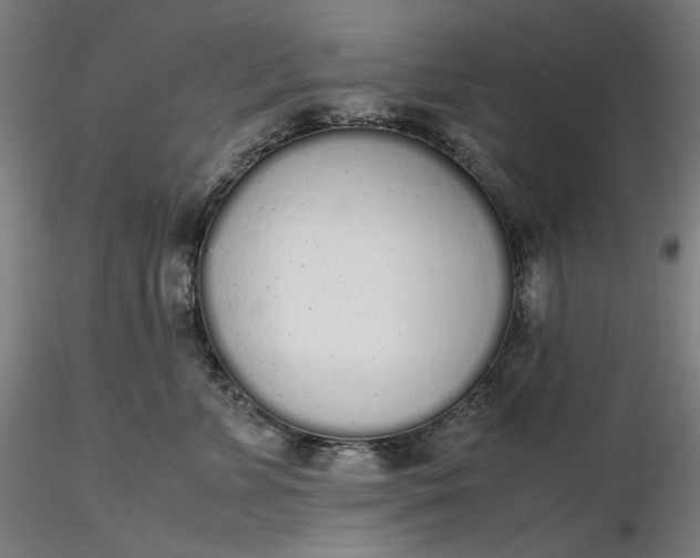 X0000116460715200912231401