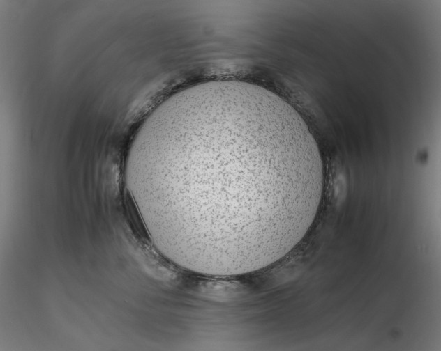 X0000116460716200912231401