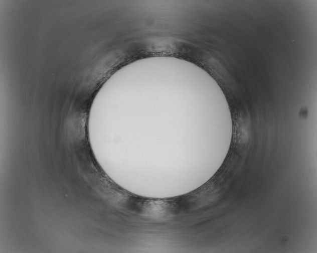 X0000116460717200912231401