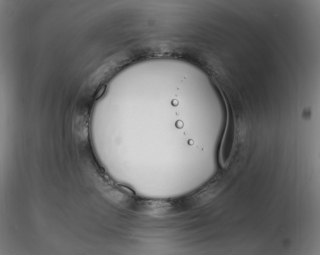 X0000116460719200912231401