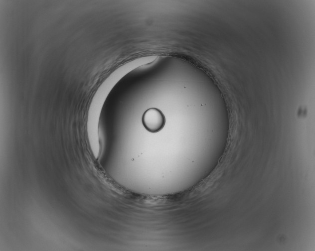X0000116460720200912231401
