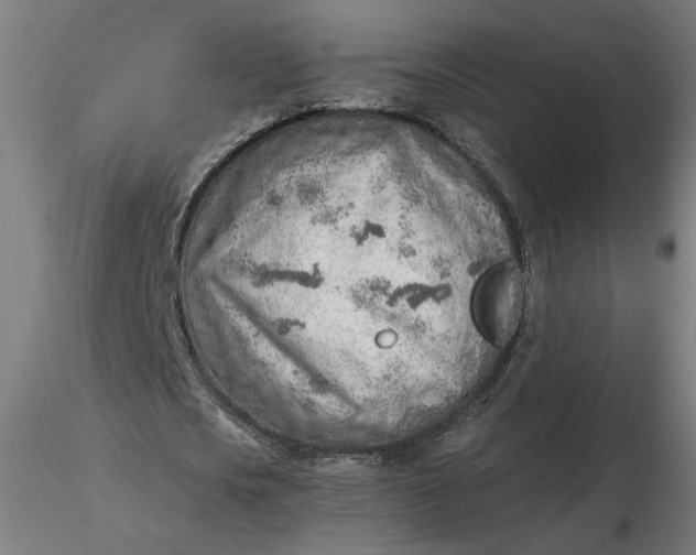 X0000116460721200912231400